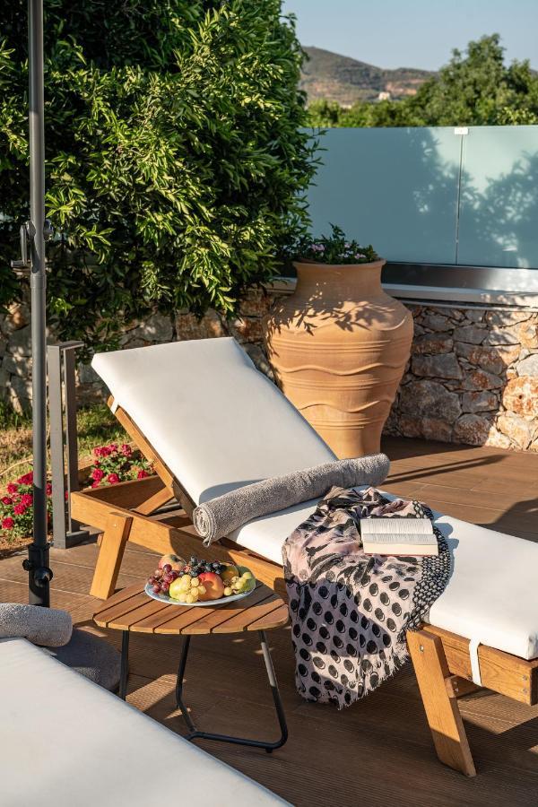 Villa Enny, 3 Bd With Private Heated Pool Agia  エクステリア 写真